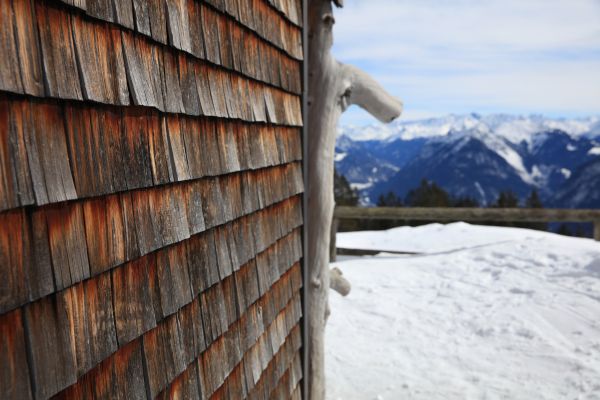 Cedar Siding Repair in Lawrence